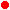 red.gif (65 bytes)